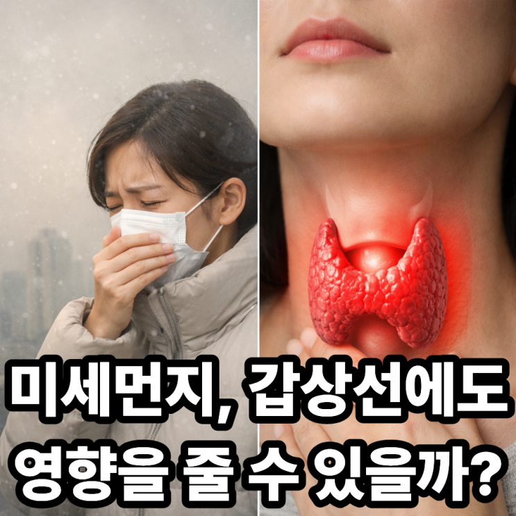   미세먼지와 갑상선 건강 영향 가능성, 정말 관련 있을까?