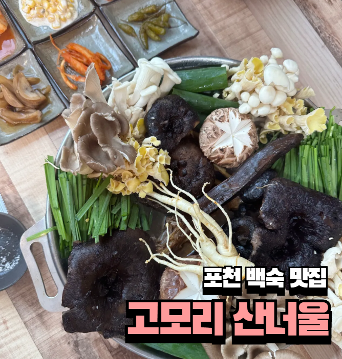 산너울 사진 1