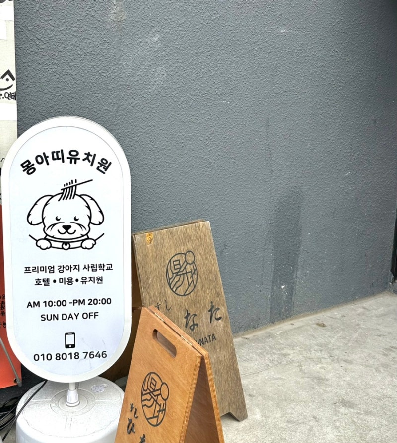 사진 3