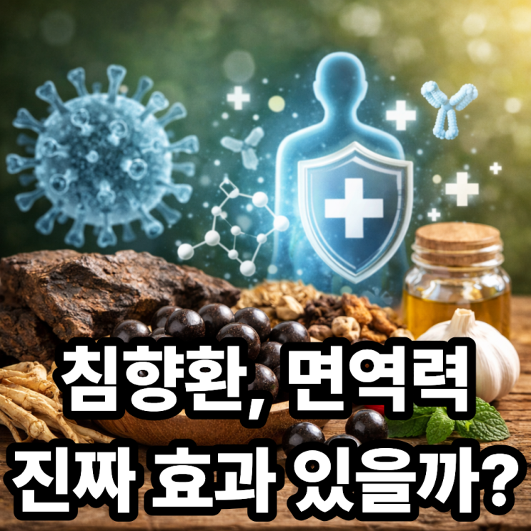  침향환과 면역력, 정말 도움 될까?  제대로 알고 먹기