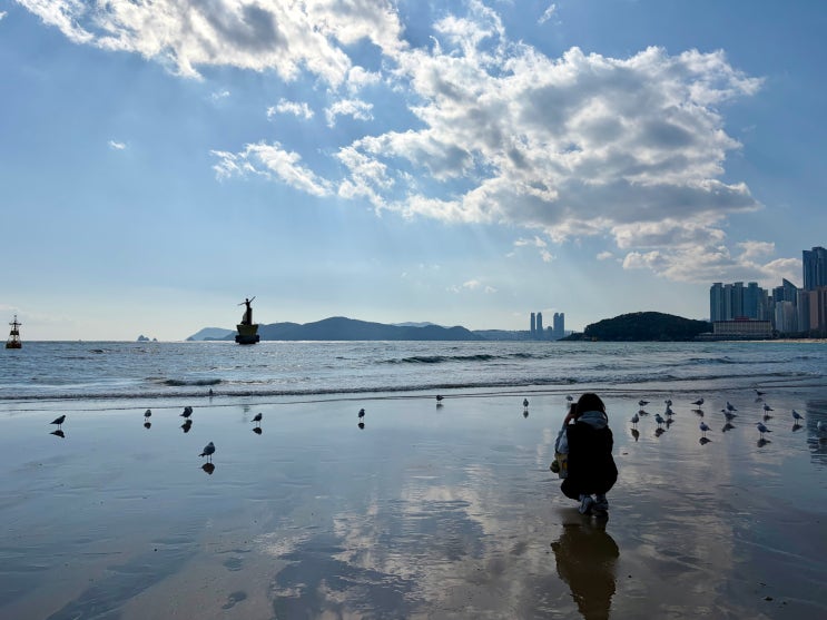  <해운대 나들이 > 미포항 산책길에서 만난 갈매기