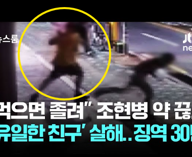 "먹으면 졸려" 조현병 약 끊고 '유일한 <b>친구</b>' <b>살해</b>...징역 30년