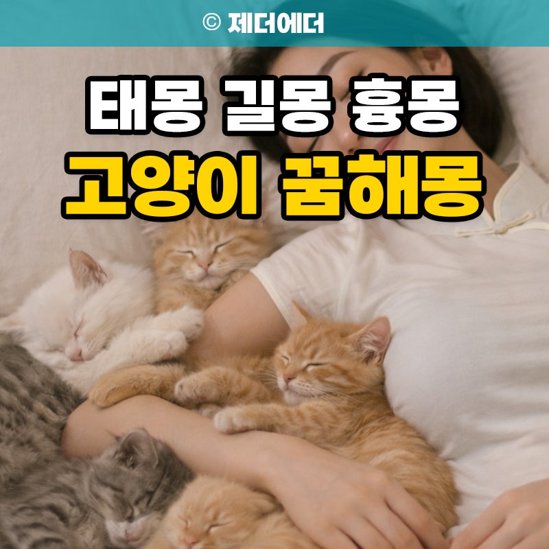 새끼 고양이꿈 해몽 의미, 아기 고양이 꿈 태몽 길몽 흉몽 총정리