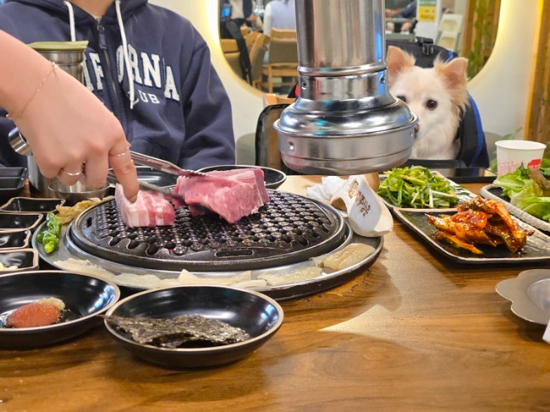 제주 애견동반 식당 함덕해수욕장 맛집 제주삼춘 흑돼지