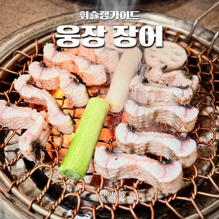  서울 용문시장 맛집 웅장 장어 용산 효창공원 맛집 추천