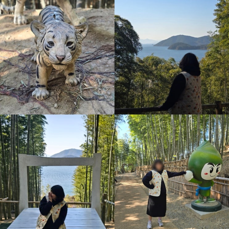  거제도 여행 가볼만한곳 거제 맹종죽테마파크 대나무숲