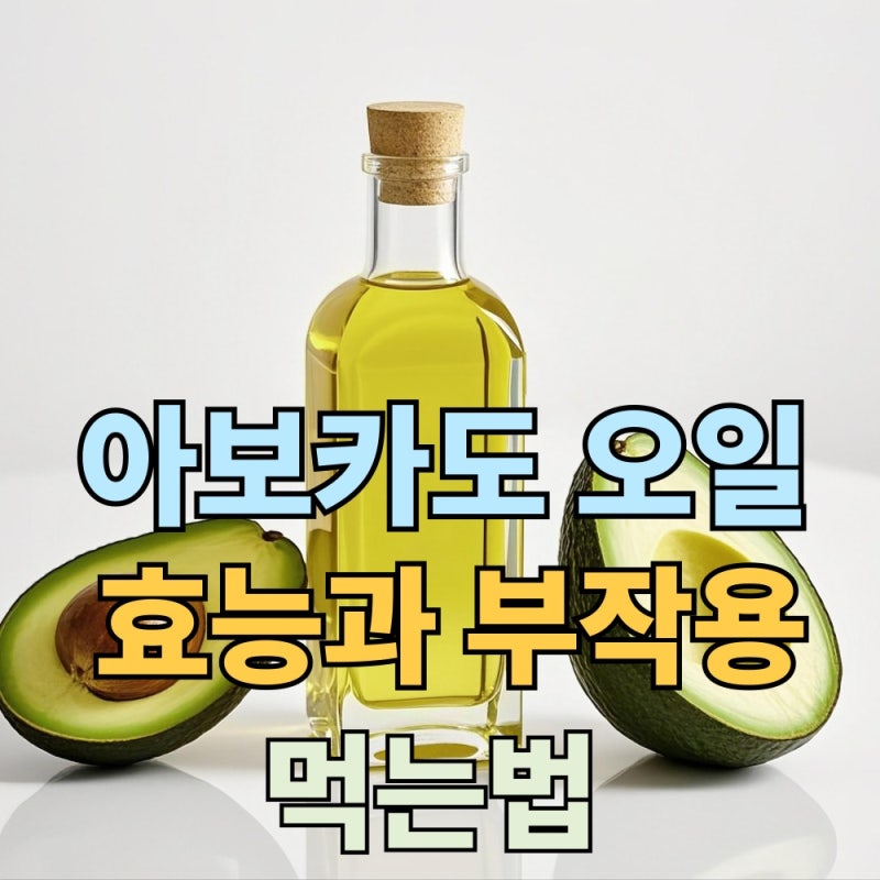 아보카도 오일 아보카드유 효능 부작용 및 먹는법