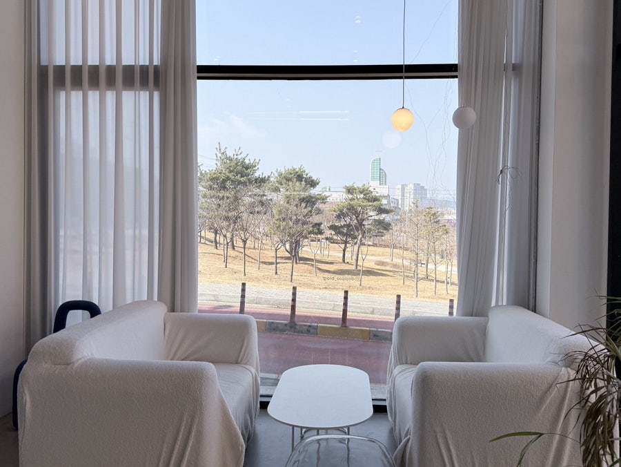 도피오 사진 5