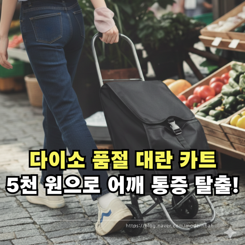 5천 원으로 관절 지키기! 차 트렁크에 쏙 들어가는 품절 대란템 다이소 접이식 카트