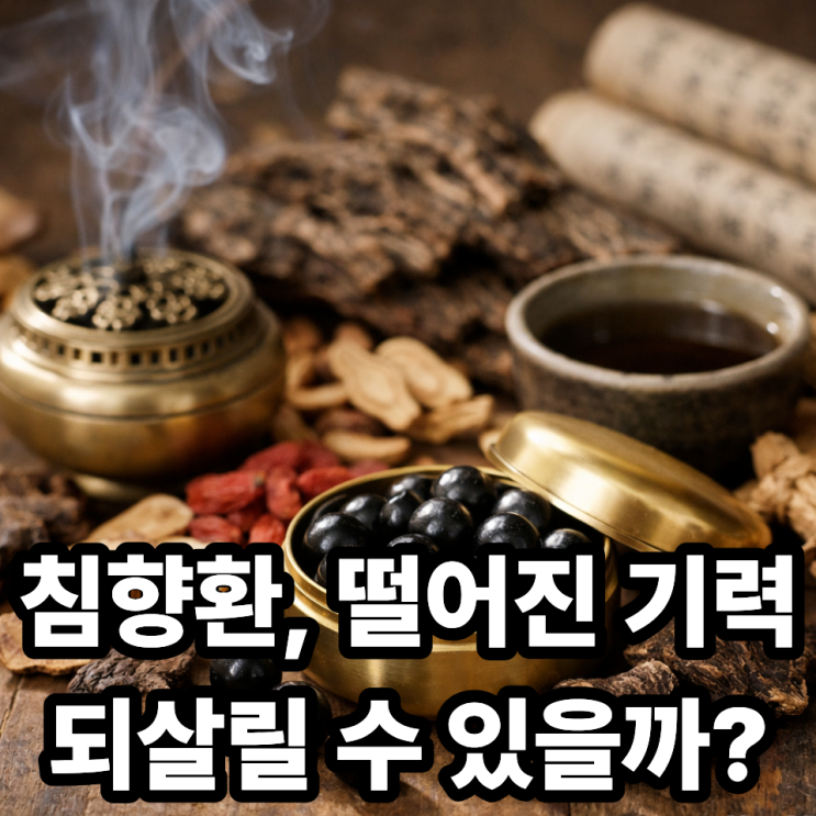  침향환이 체력 회복에 좋은 이유  기운 떨어질 때 왜 찾을까?