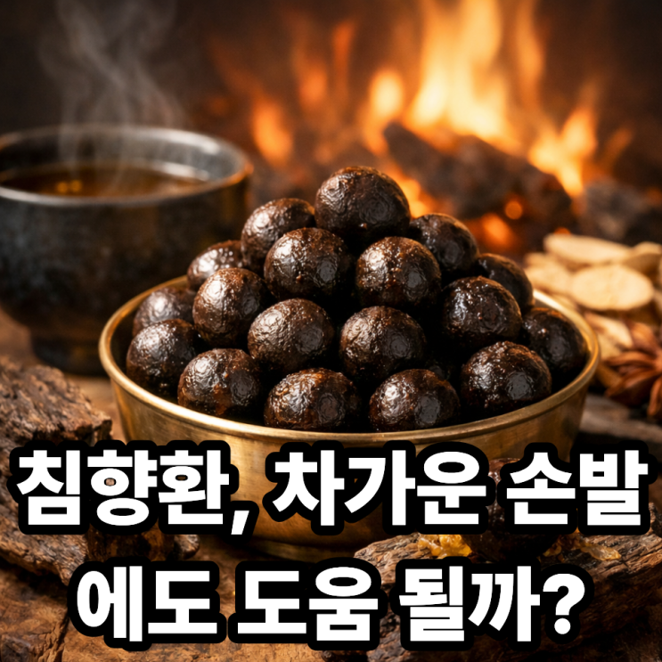  침향환이 몸을 따뜻하게 해주는 이유  왜 ‘온기 보강’ 이미지가 있을까?
