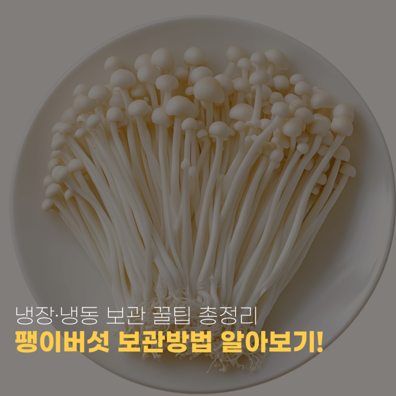 팽이버섯 보관방법 알아보기! 냉장·냉동 보관 꿀팁 총정리