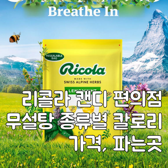 리콜라 캔디 편의점 무설탕 종류별 칼로리 가격, 파는곳