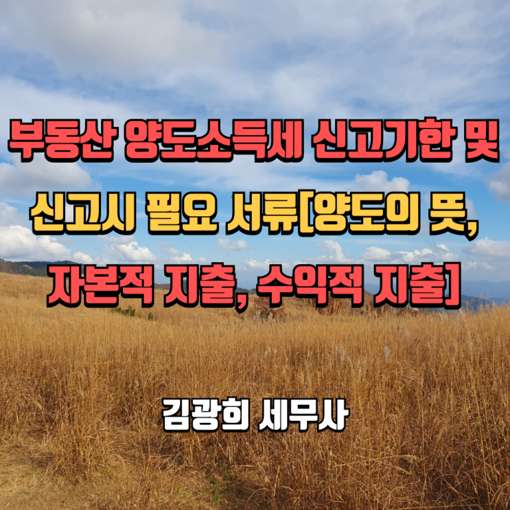  부동산, 아파트 양도소득세 신고기한 및 신고시 필요 서류[양도의 뜻, 자본적 지출, 수익적 지출]