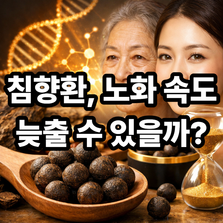  침향환이 노화 방지에 도움 되는 원리  동안 건강의 비밀일까?