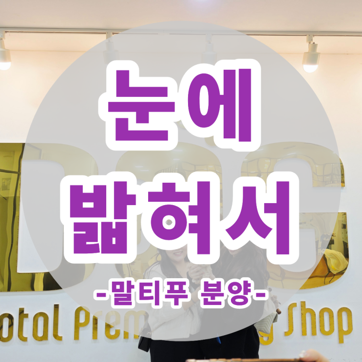  공주에서 세종까지 말티푸 분양하러 왔다가 결국 마음 뺏기셨어요 원독 애견분양 센터
