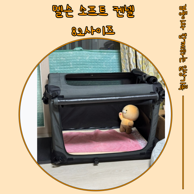 13kg 진도믹스가 1년 사용한 멜슨 소프트 켄넬 82 사이즈 리얼후기 (내돈내산)