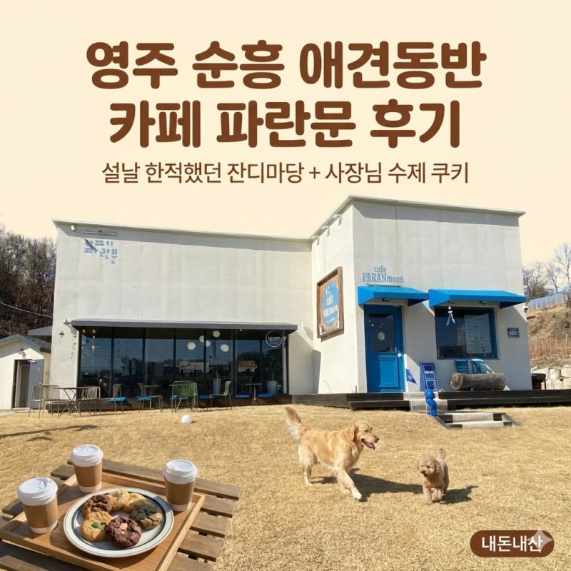 사진 6