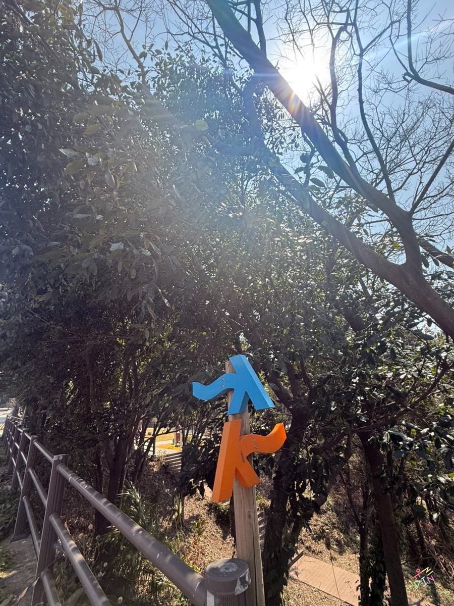 솔빛바다 사진 5