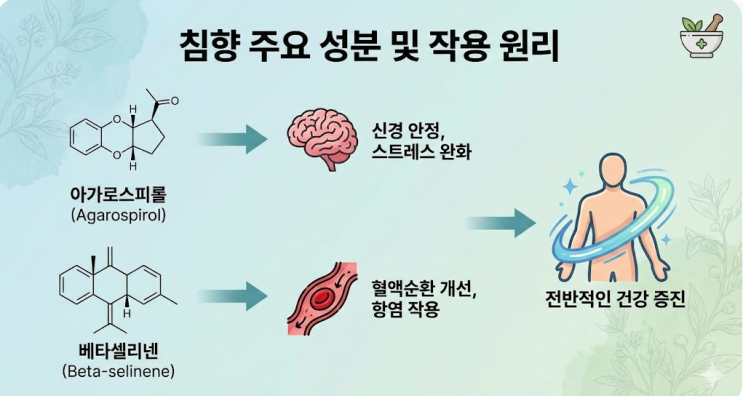  침향환 효능 부작용, 함량 확인법부터 올바른 복용법까지