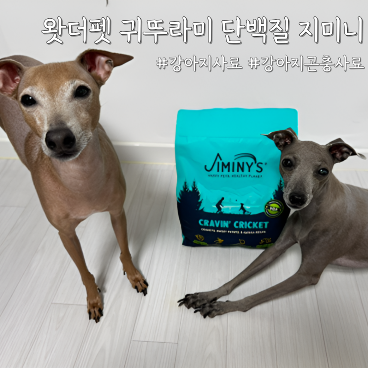  알러지 걱정 줄인 강아지사료추천 [왓더펫 귀뚜라미 단백질 지미니 강아지곤충사료] 후기