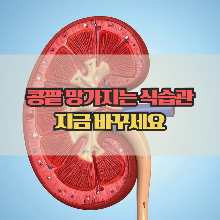  신장에 좋은 음식, 콩팥 건강 지키는 식단 정리
