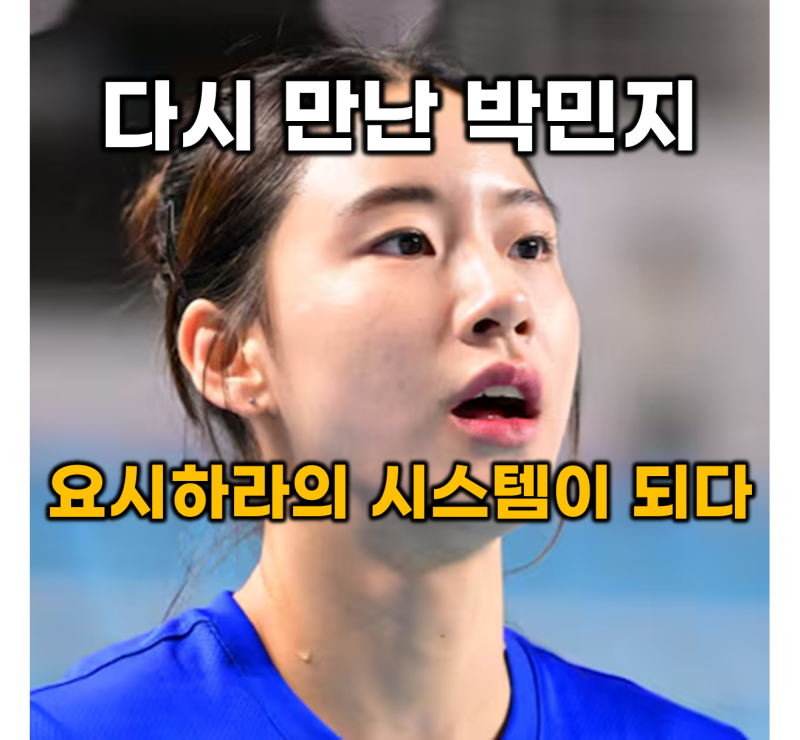 [배구] 흥국생명 배구선수 박민지, 수원시청의 '야성'을 입고 요시하라의 '시스템'이 되다 (박....