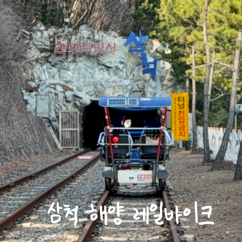 사진 10