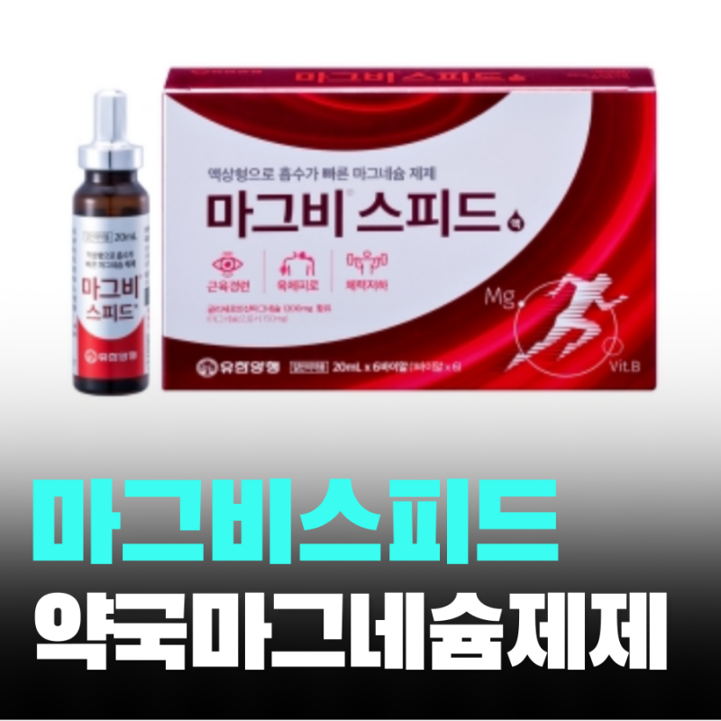 마그비스피드 가격 효능 부작용 더블액션 차이