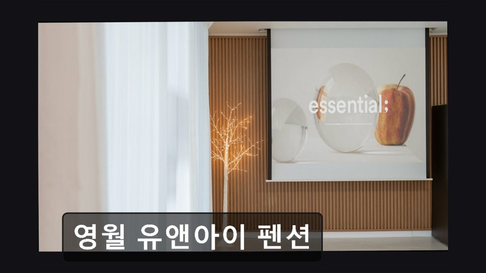 영월유앤아이펜션 사진 2