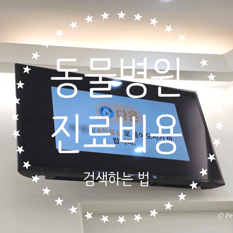  동물병원 진료비 공개 2026, 달라진 것과 보호자가 알아야 할 것