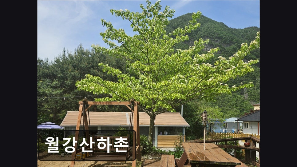 월강산하촌 사진 3