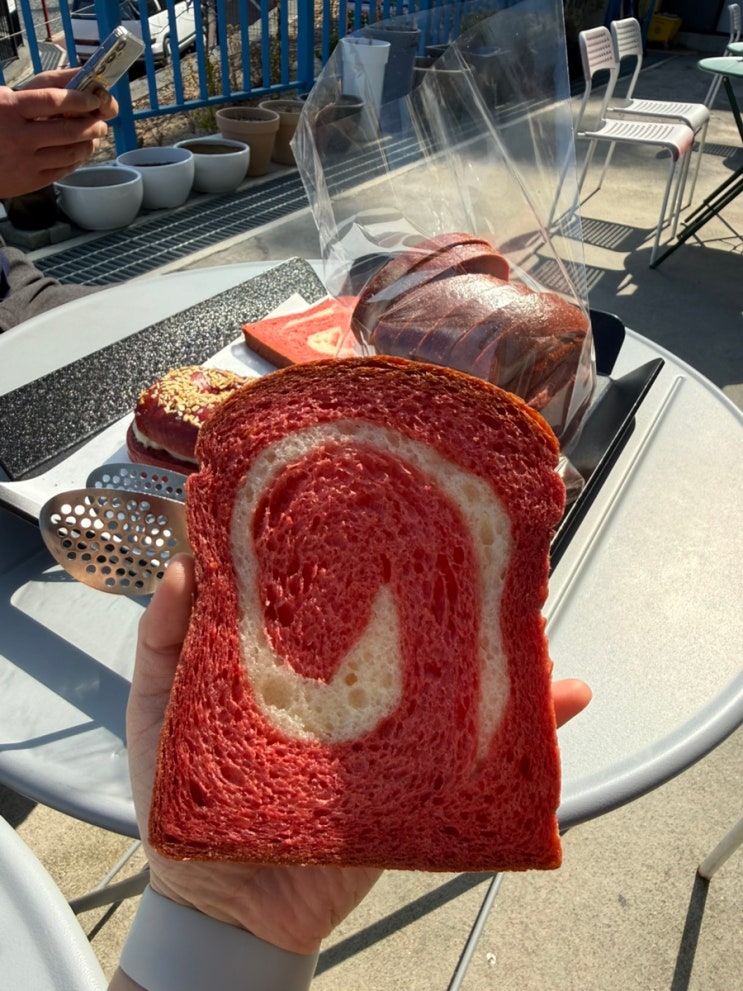  울산 언양 신불산에 봄 : 통도사 대신 찾은 인생 홍국쌀식빵 솔직 후기