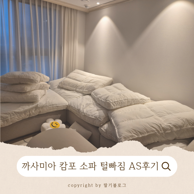 까사미아 캄포 소파 깃털빠짐 해결 후기_속커버 AS 신청