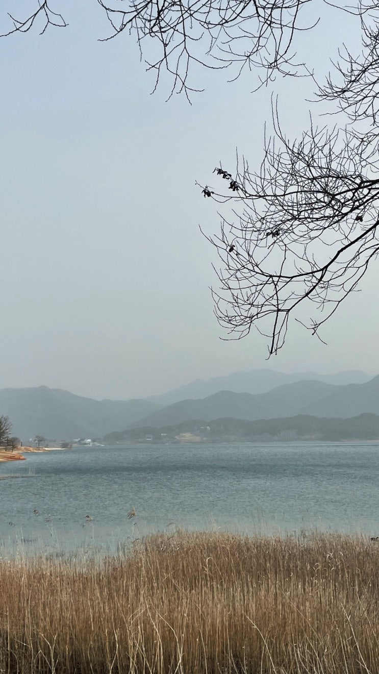  따뜻한 봄날 + 황사
