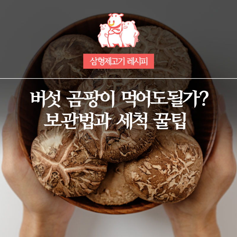 버섯 곰팡이 하얀 솜털 먹어도 될까? 보관법과 세척 꿀팁