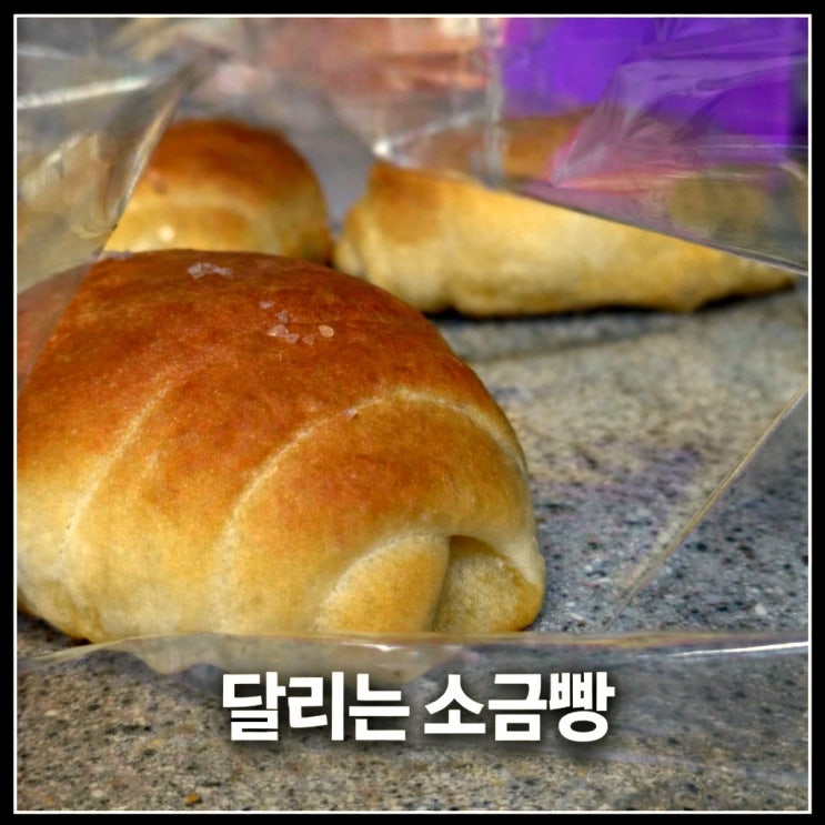  [인천] 인천 달리는 소금빵 연이네 소금빵 트럭 후기｜4개 1만원 갓구운 소금빵 내돈내산