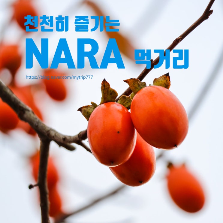  ④ 나라 여행 먹거리 가이드｜가키노하즈시·나라즈케·맛집·카페 총정리