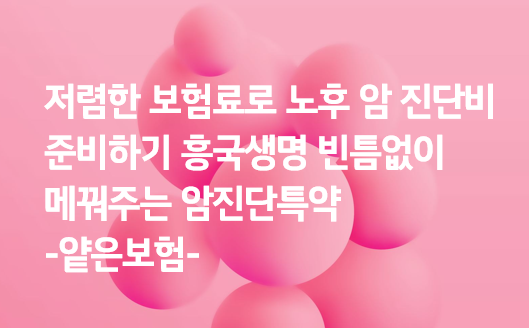 저렴한 보험료로 노후 암 진단비 준비하기 흥국생명 빈틈없이 메꿔주는 암진단특약