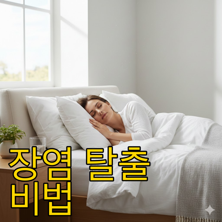  장염에 좋은 음식 5가지와 빨리 낫는 법: 의학적 총정리