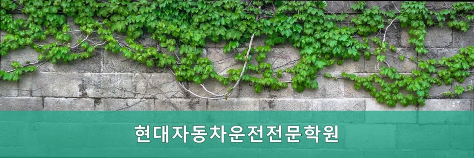 현대자동차운전전문학원 사진 4
