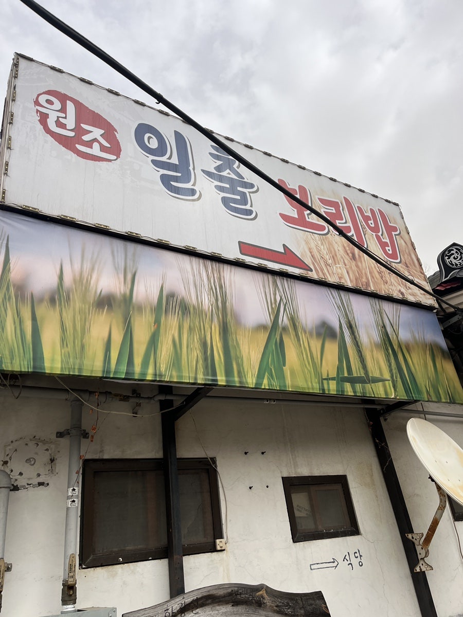 일출보리밥 사진 2