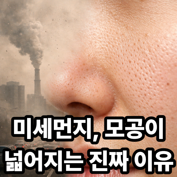   미세먼지와 모공 확장의 연관성, 왜 피부결이 갑자기 거칠어질까?