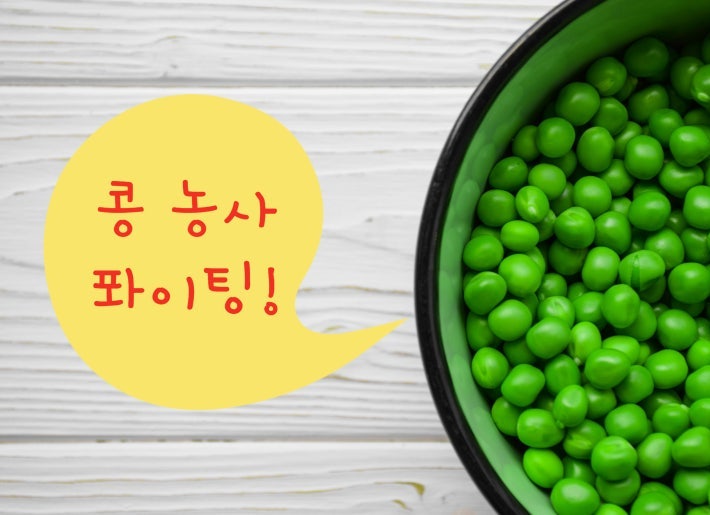  2026해피빈 첫 기부 해피하게 스타트