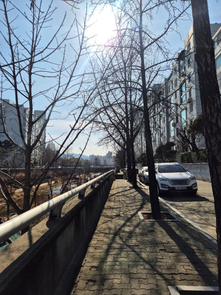  서울둘레길 8~9 코스 19.3km 장지 탄천 코스/대모 구룡산 코스 총소요 5시간 30분 (초급 & 상급)