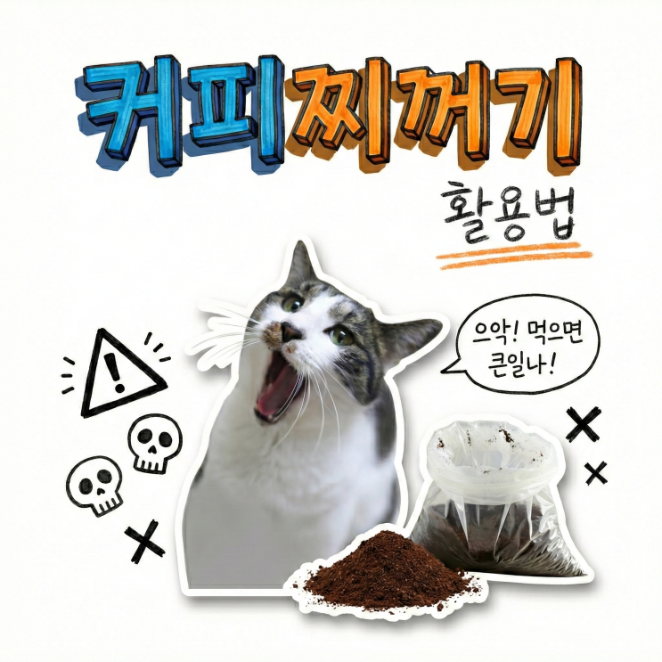  커피찌꺼기 활용법 고양이 화장실 탈취제로 쓰면 큰일나는 이유