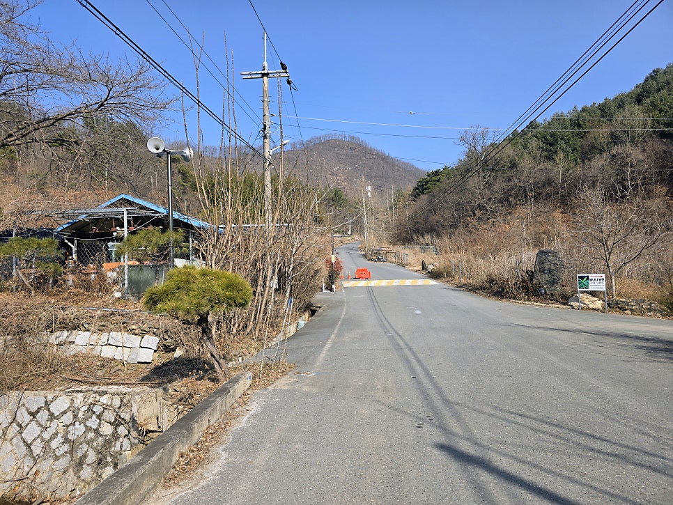 황골 사진 5