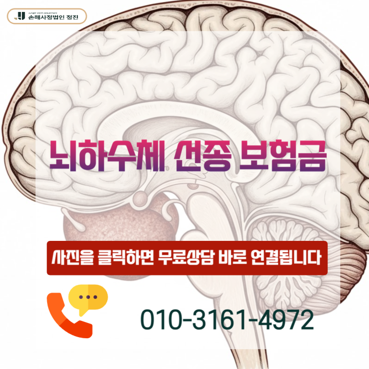  뇌하수체 선종 보험금, D35.2 양성 코드라도 일반암 전액 받는 필살기