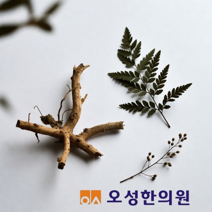  파주약잘짓는한의원,친정엄마가 딸에게 추천하는 산후보약
