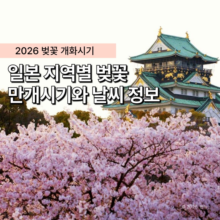  "비행기표부터 끊었나요?" 일본 벚꽃 개화시기, 지역별로 완전히 다릅니다